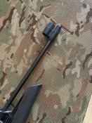 IMG_5599.jpeg