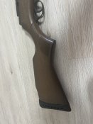 IMG_4556.jpeg