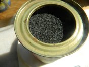 DSCN9878.JPG