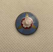 Асоціація протиповітряної оборони Японії