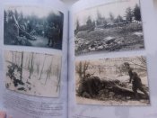 "Велика війна у маленькому місті". (Станиславів на старих фотографіях).2015.