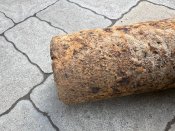 IMG_3527.jpeg