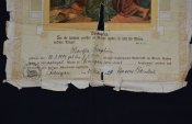 Свидетельство о рождении