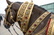 sarmatian-hors.jpg