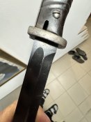 IMG_4685.jpeg