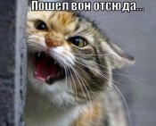 IMG_20250718_100251.jpg