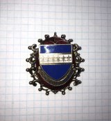 Брошка 101st Quartermaster Battalion
