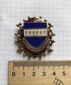 Брошка 101st Quartermaster Battalion
