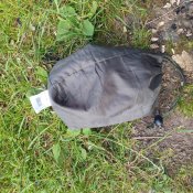 Bivvi bag
