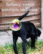 IMG-a1ef1d781ebe3dd5834766a091b48d44-V.jpg