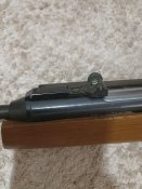 IMG_20250718_200455.jpg