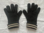 Перчатки зимние WH/SS