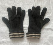 Перчатки зимние WH/SS