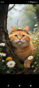 Screenshot_20250719-142212.png