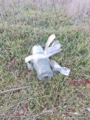 Ворожий трофейний дрон з історією, координатами та фото/відео з місця подій