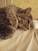IMG_20250719_144547757_MFNR.jpg