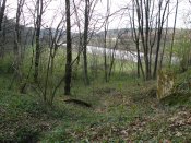 P4151535.JPG