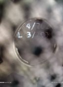 Кулезахисний шолом Шуберта 58-62.Німеччина.придатний до 2030 року.