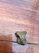 IMG_4489.jpeg