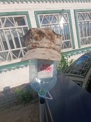 IMG_20250720_180630.jpg