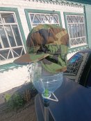 IMG_20250720_180358.jpg
