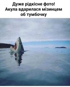 IMG-7a3e9ca40d402823a683cf7d62ef0a5e-V.jpg