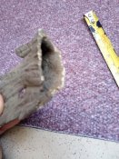 IMG_20250721_140959_586[1].jpg