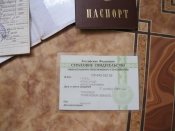 Розтин триколірної двоголової курки