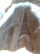 Lenovo_A1000_IMG_20250423_103119.jpg