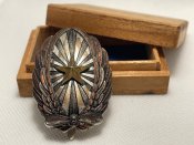 Знак бойового пілота. Прекрасна...