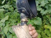 Фара з Steyr 1500