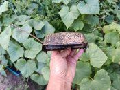 Світломаскіровочна фара Notek