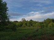 IMG_20250518_192814.jpg