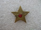 Зірочка жовтенят. Значок зі старим дизайном.