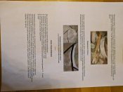 IMG_20250725_174304.jpg