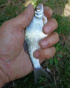 20250726_120931.jpg