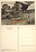 S031064full.jpg