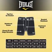 3 шт Термотрусы труси боксеры трусы Влагоотводящие Everlast size M 32-34 Оригинал США