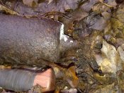IMG-20131125-00081.jpg