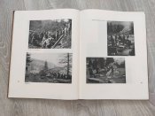 Гірськоєгерська книга "Bewaffnete Alpenheimat".