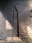 IMG_0481.jpeg