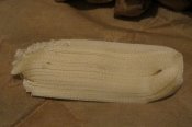 IMG_7969.JPG