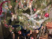 IMG_0443.JPG