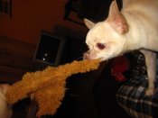 IMG_2589.JPG