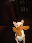 IMG_2582.JPG