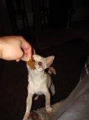 IMG_2579.JPG
