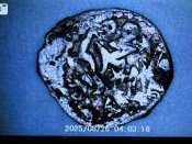 IMG_0867.jpeg