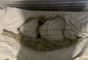 IMG_1913.jpeg