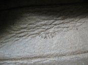 IMG_3133.JPG