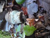 DSC00046.jpg